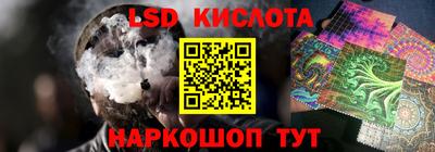 прущие крисы Моздок