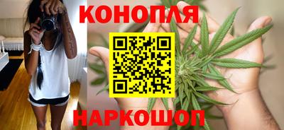 прущие грибы Можга