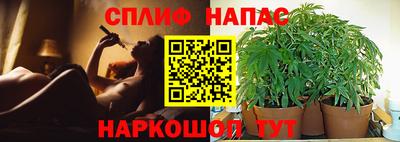 ECSTASY Можайск
