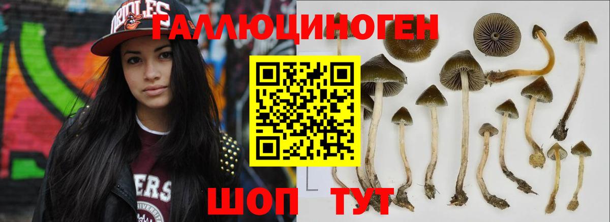Узловая  хочу наркоту  Вход с VPN  Галлюциногенные грибы мухоморы 